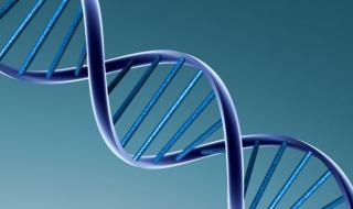 化学在生活中的应用